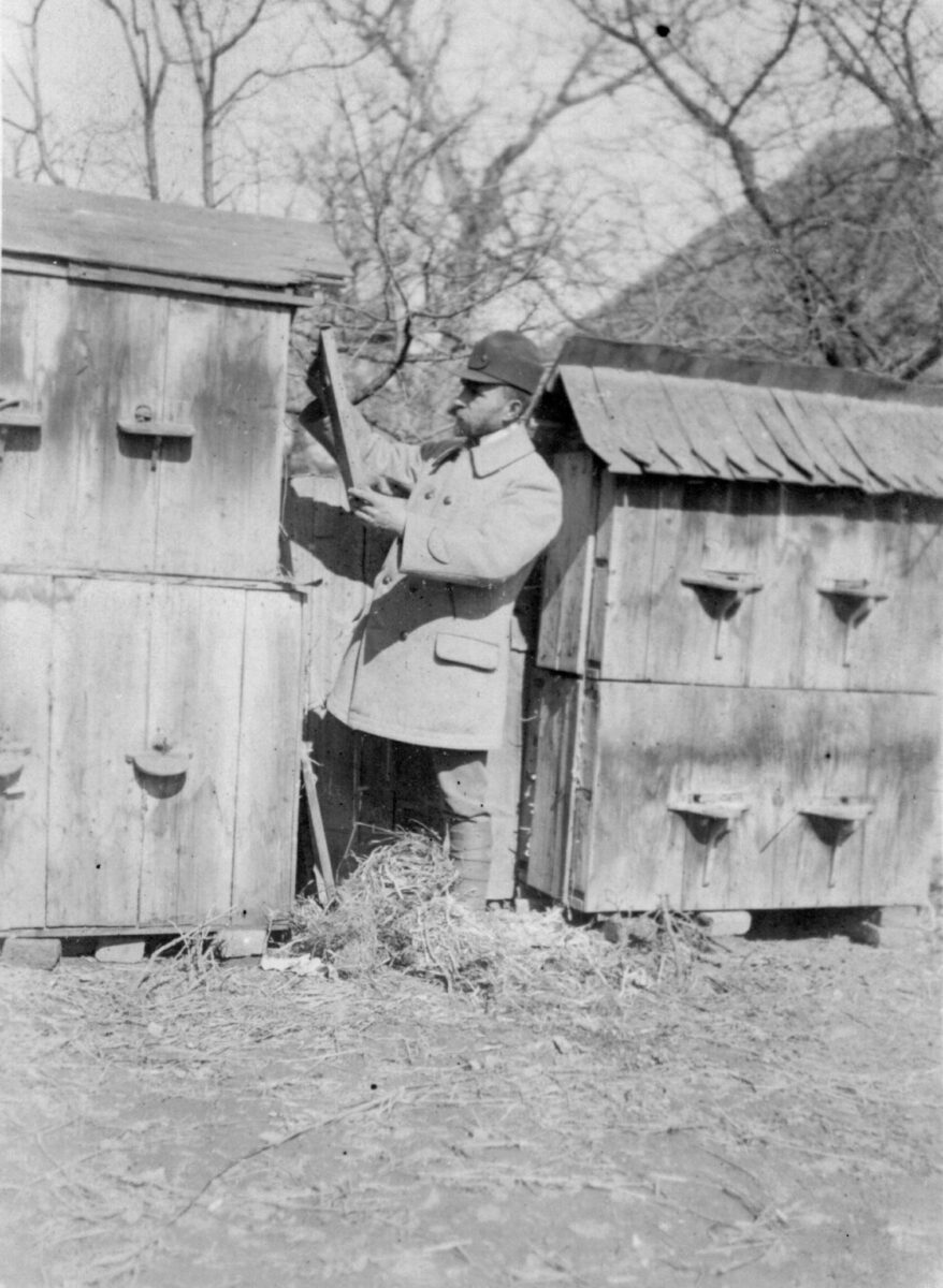 17 Adam Grzegorczyk w swojej pasiece