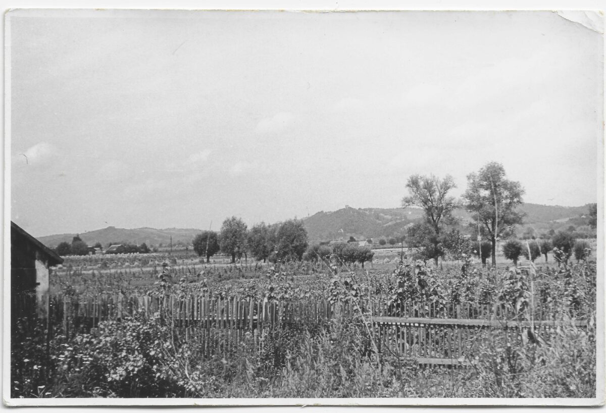 34 Widok na Melsztyn