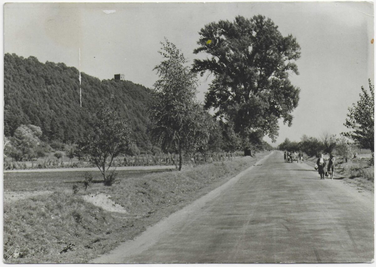 m20 Droga relacji Brzesko Zakliczyn u podnoza Melsztyna