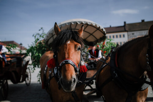 Zielonoświątkowy przejazd bryczkami pełen tradycji i muzyki! 14 ZieloneSwiatki 118